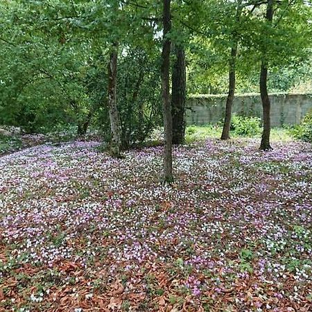 Le Buisson Hotel Montlouis sur Loire Bagian luar foto